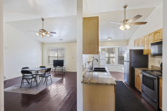 kitchen featuring lofted ceiling, ceiling fan, sink, appliances with stainless steel finishes, and dark hardwood / wood-style flooring