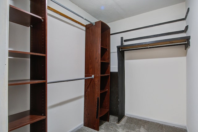 walk in closet featuring carpet