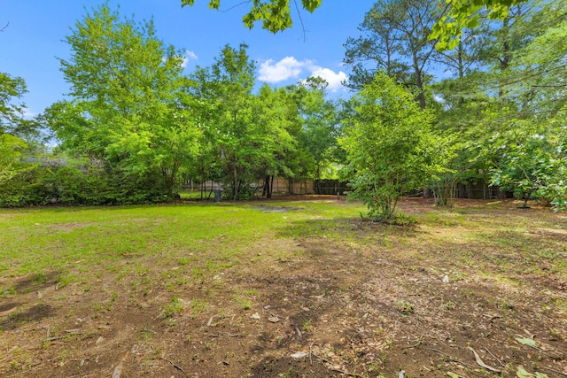1320 Bresee St, Charleston, SC 29412 - view of yard