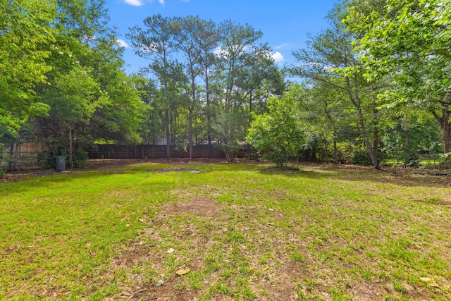 1320 Bresee St, Charleston, SC 29412 - view of yard