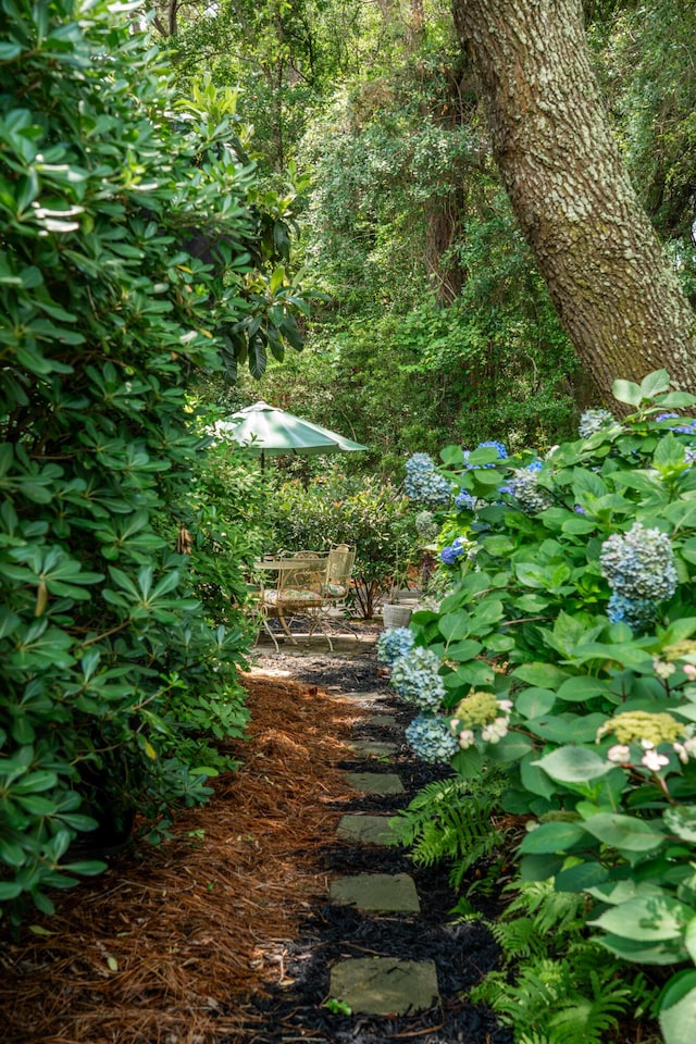 907 High Nest Ln, Charleston, SC 29412 - view of nature