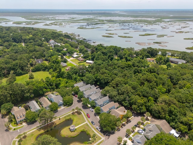 907 High Nest Ln, Charleston, SC 29412 - aerial view of residential area with a large body of water