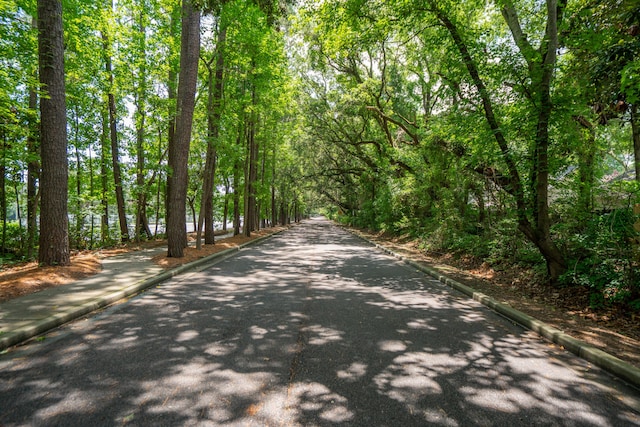 907 High Nest Ln, Charleston, SC 29412 - view of street with a forest view and curbs