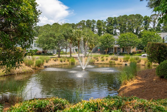 907 High Nest Ln, Charleston, SC 29412 - water view