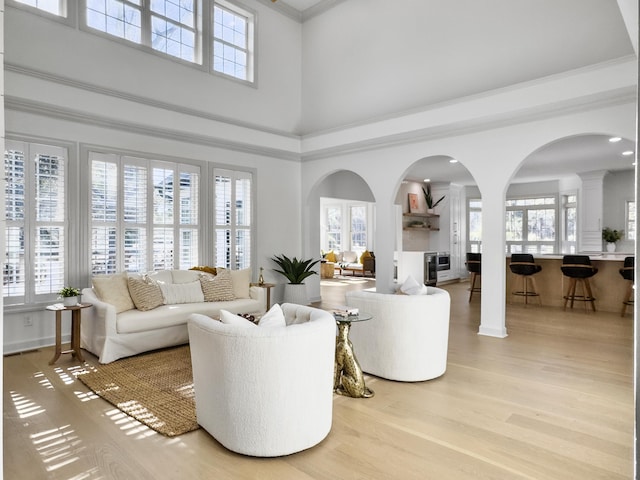 living area with ornamental molding, a high ceiling, light wood-style flooring, and a healthy amount of sunlight