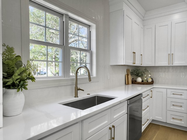 kitchen featuring a sink, backsplash, white cabinets, and stainless steel dishwasher