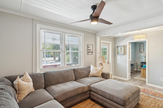 living room featuring light hardwood / wood-style floors, ceiling fan, and crown molding