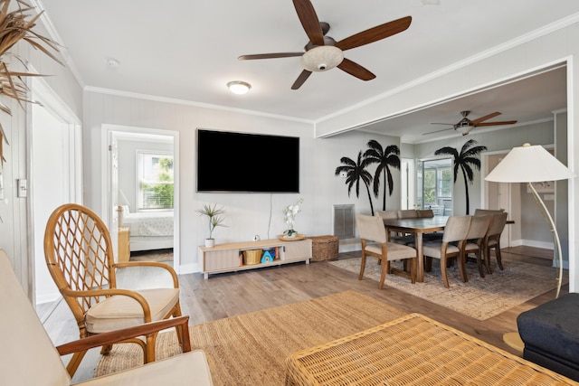 living room featuring light hardwood / wood-style floors, ceiling fan, and ornamental molding