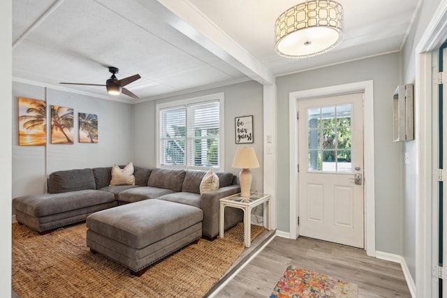 living room featuring plenty of natural light, ceiling fan, light hardwood / wood-style floors, and crown molding