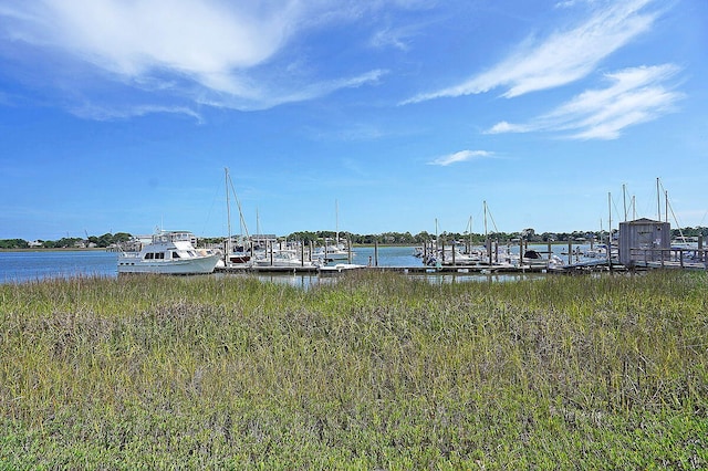 dock area with a water view