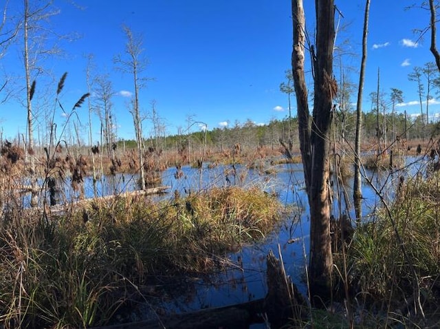 0000 Jefferies Hwy, Walterboro SC, 29488 land for sale