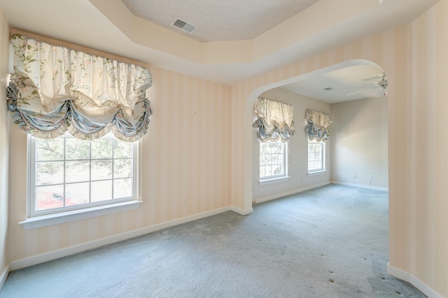 carpeted empty room with a wealth of natural light, ceiling fan, a raised ceiling, and a textured ceiling