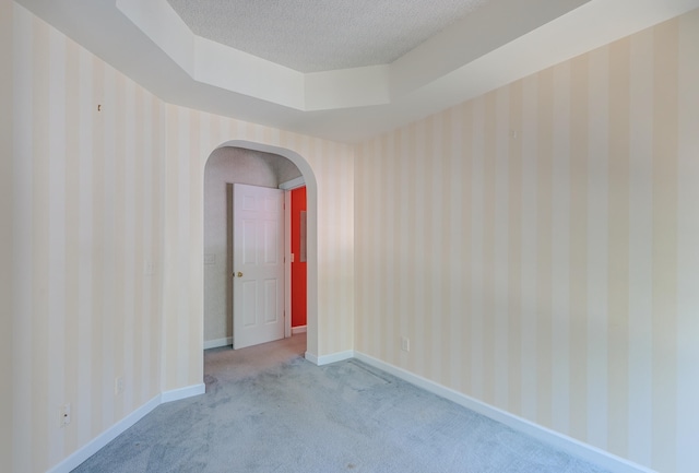 empty room featuring light carpet, a tray ceiling, and a textured ceiling