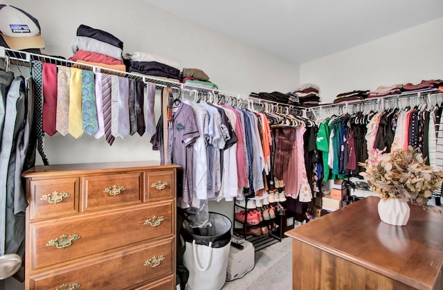 spacious closet with light colored carpet