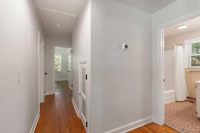 1417 Downing St, Charleston, SC 29407 - hall with attic access, plenty of natural light, and wood finished floors
