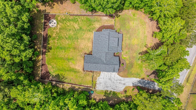 bird's eye view