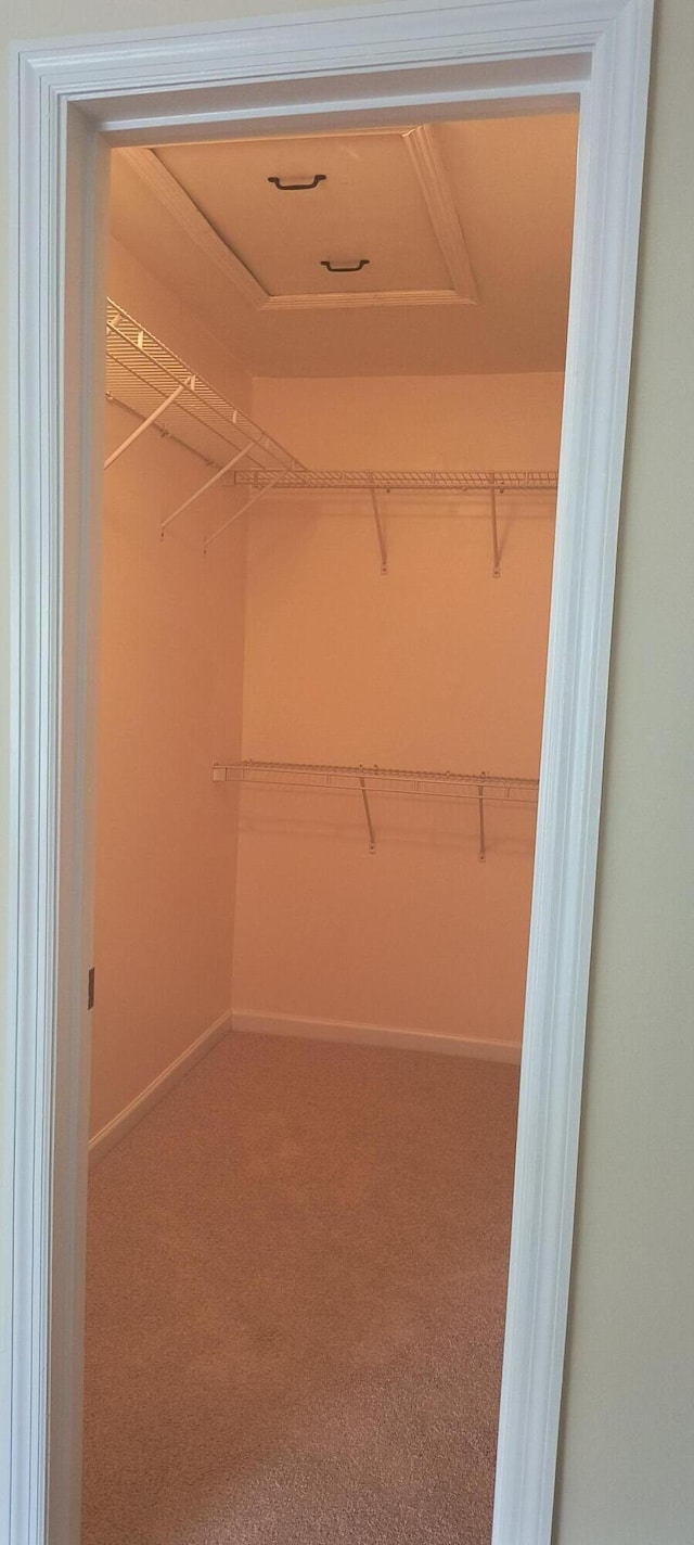 spacious closet with carpet floors