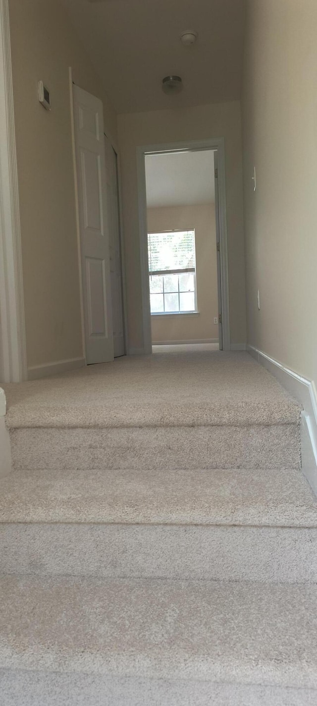 stairs with carpet