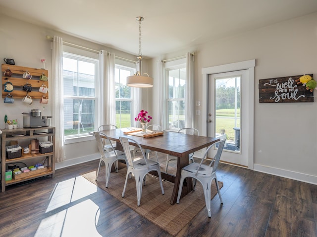 dining area with dark wood-type flooring