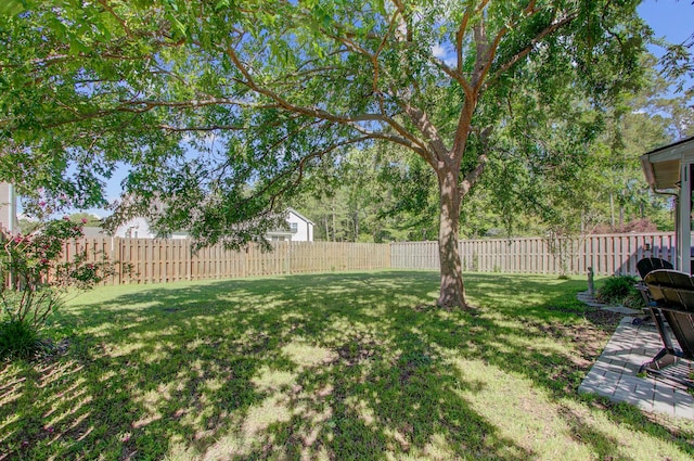 view of yard with a fenced backyard