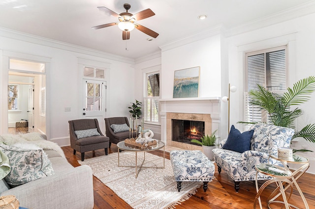 living room with a fireplace, hardwood / wood-style floors, and ornamental molding