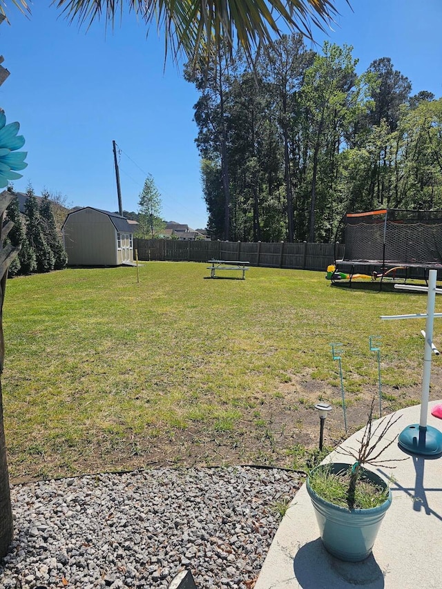 view of yard featuring a shed and a trampoline