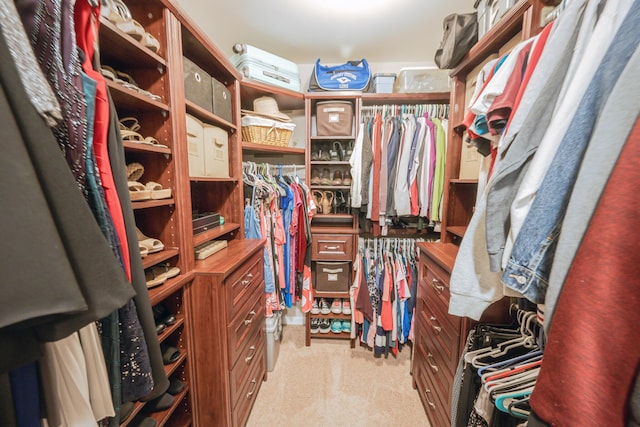 8009 Indian Hill Dr, Hanahan, SC 29410 - spacious closet with light colored carpet