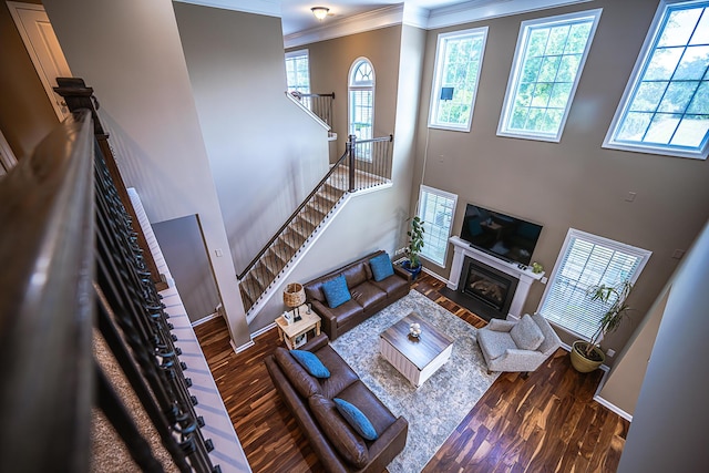 8009 Indian Hill Dr, Hanahan, SC 29410 - living room with crown molding, a towering ceiling, wood finished floors, and a wealth of natural light
