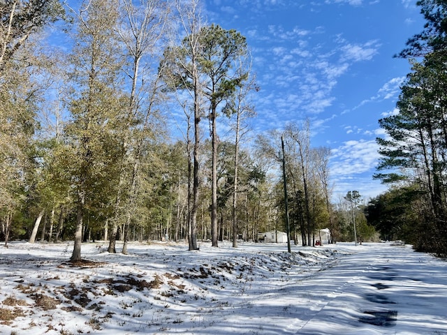 view of yard covered in snow