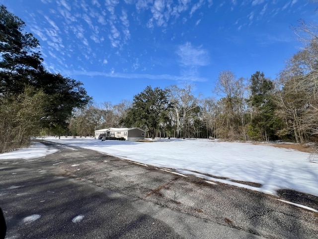 view of snowy yard