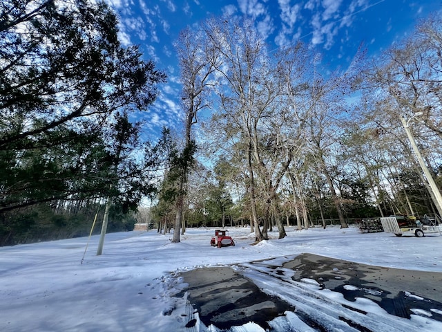 view of yard layered in snow