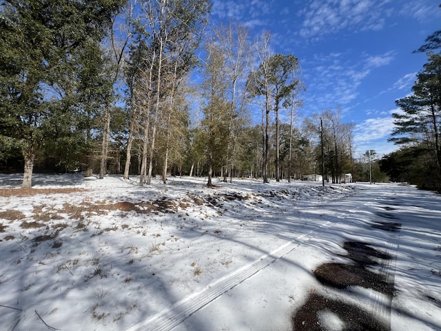 view of snowy yard