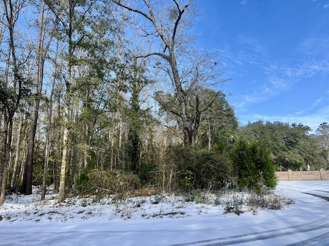 view of snowy view