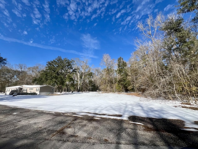 view of yard covered in snow