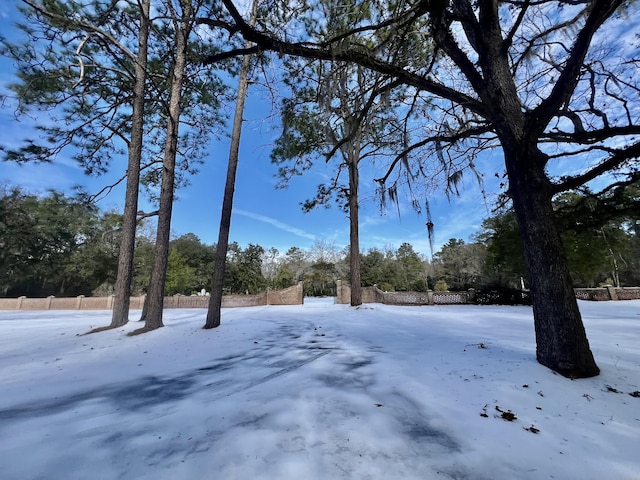 view of yard layered in snow