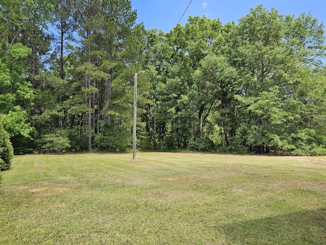 3564 Elliott Rd, Pinewood, SC 29125 - view of grassy yard