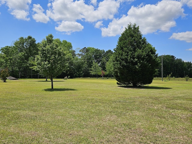 3564 Elliott Rd, Pinewood, SC 29125 - surrounding community with a yard