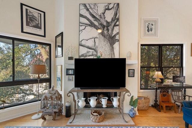 living room featuring plenty of natural light and hardwood / wood-style floors