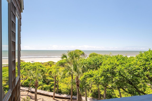 view of water feature featuring a view of the beach