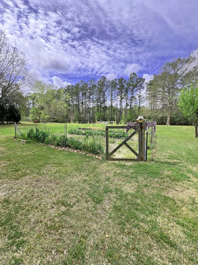 view of yard featuring a gate and fence