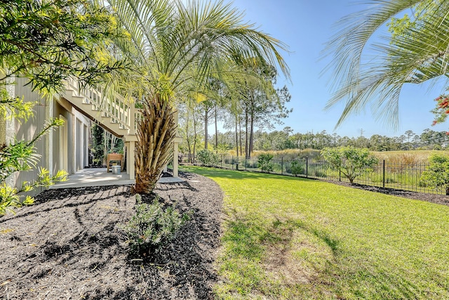 view of yard with stairway, a fenced backyard, and a patio