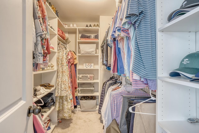 spacious closet with carpet floors