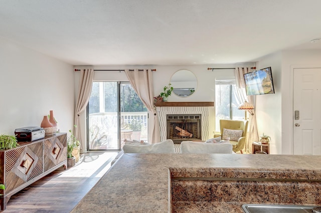 living area featuring a fireplace and wood finished floors