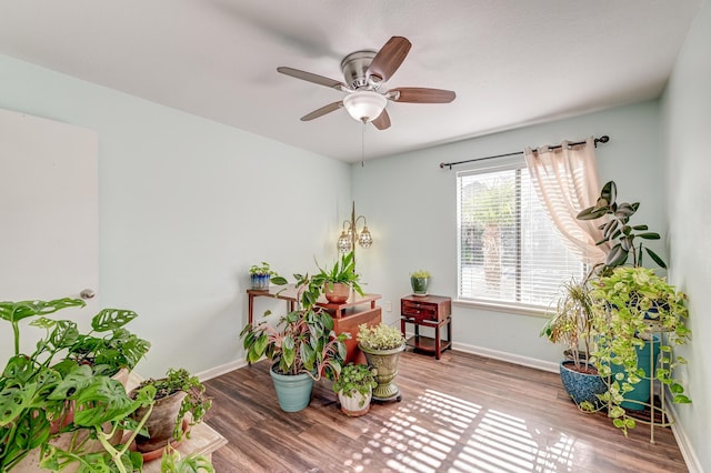 sitting room with ceiling fan, baseboards, and wood finished floors