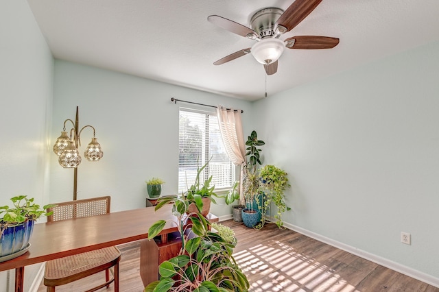 unfurnished dining area with ceiling fan, baseboards, and wood finished floors