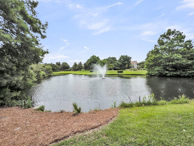 701 Hibbens Grant Blvd, Mount Pleasant, SC 29464 - water view