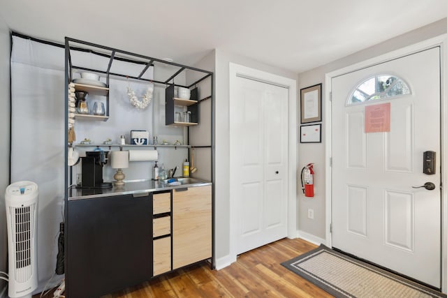 entrance foyer featuring dark wood-type flooring and sink