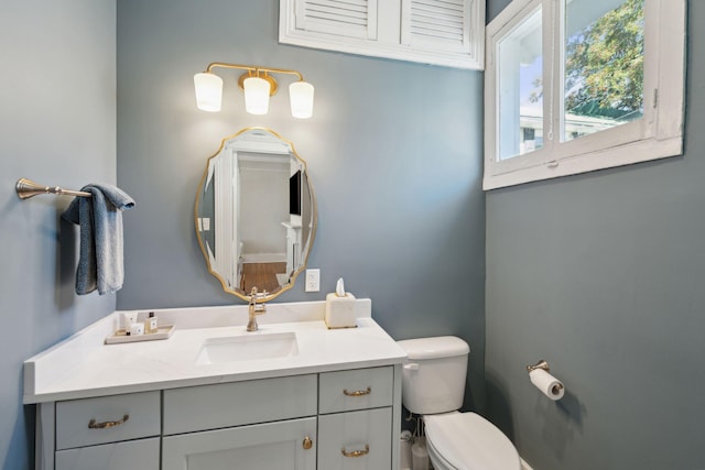 bathroom with toilet and vanity