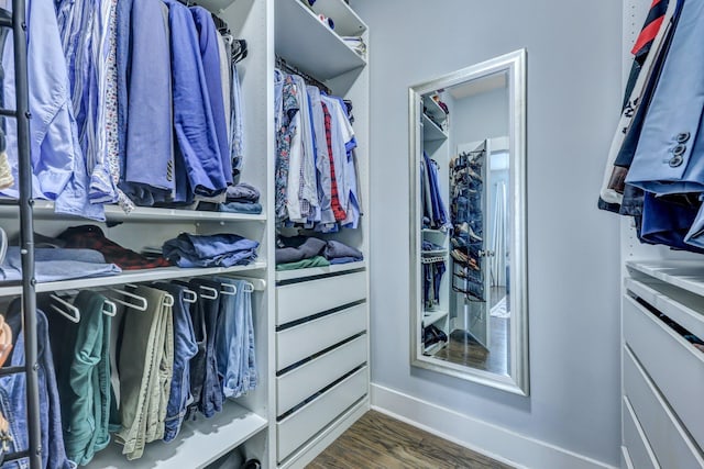 spacious closet featuring wood finished floors