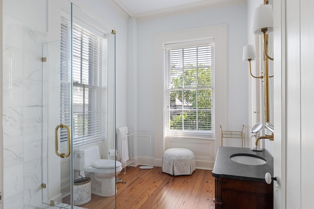 bathroom featuring wood-type flooring, plenty of natural light, an enclosed shower, and vanity